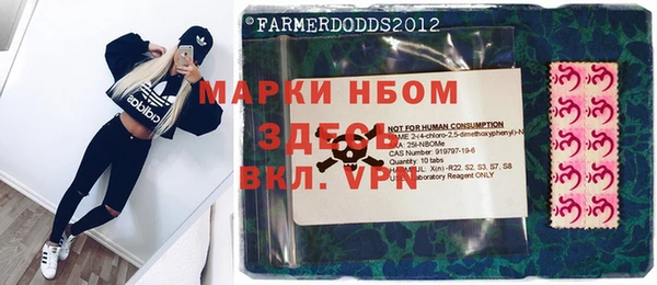 ПСИЛОЦИБИНОВЫЕ ГРИБЫ Баксан